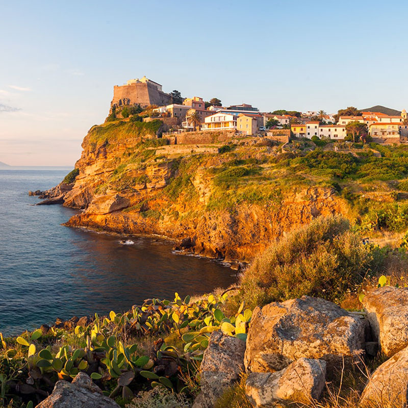 barca isola di capraia